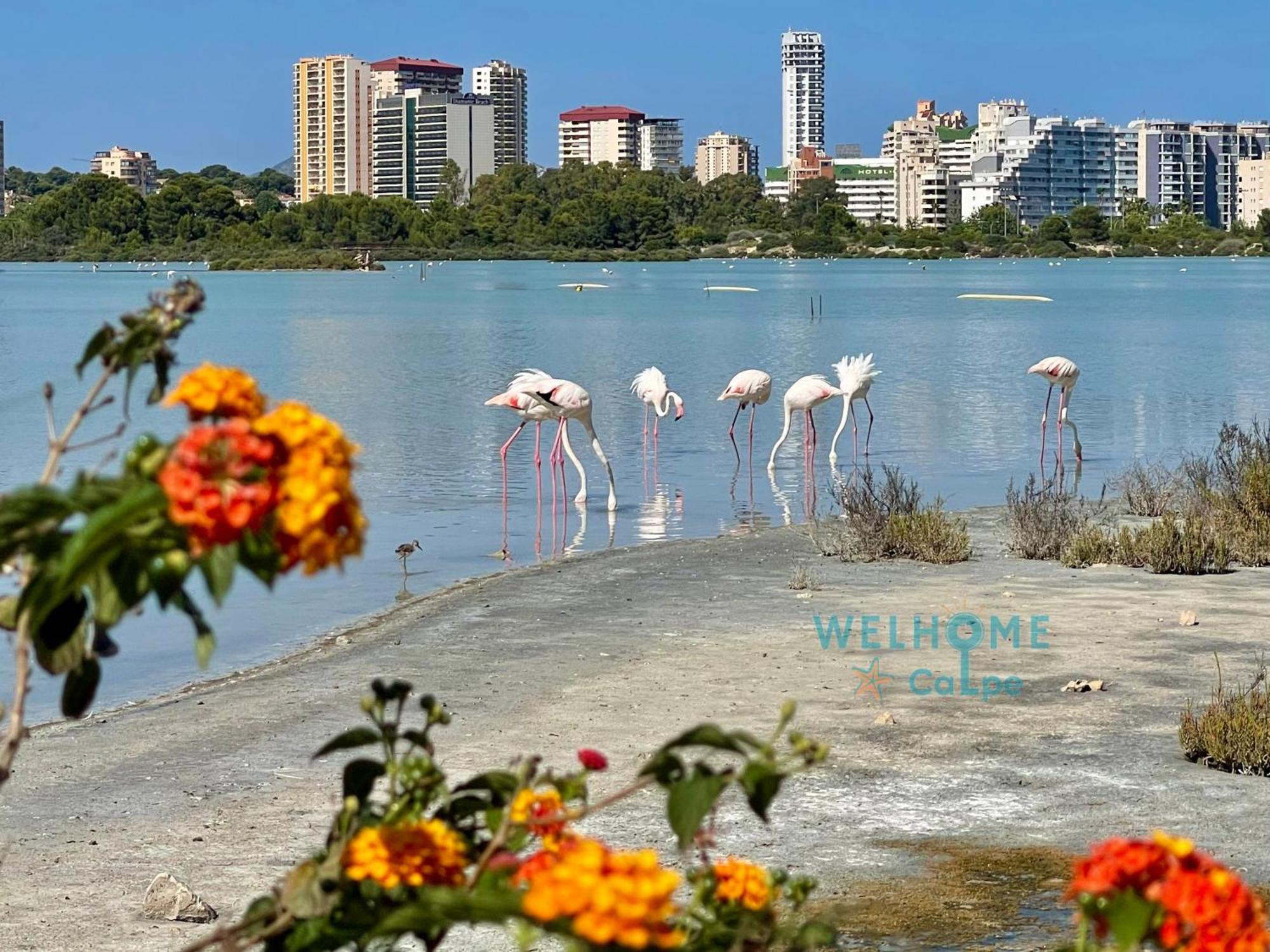 Acuarela Estudio, 1ª Linea, Vista Al Mar, Piscina كاليبي المظهر الخارجي الصورة